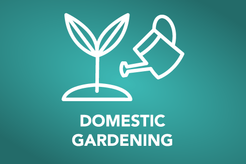 Domestic Gardening